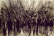 Mario Prassinos - Arbres 1er sept 1982 80x120cm