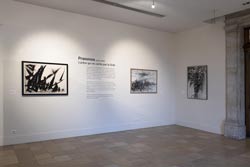 exposition Mario Prassinos, photographie Denis Vinon 2022